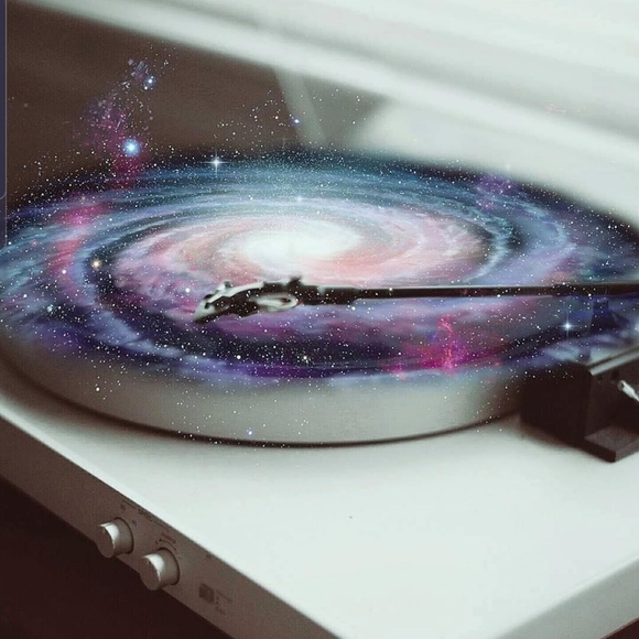 Meet your Posher, Missy - Picture 2 of 4